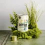 Bio Matcha Detox Boom 300 g